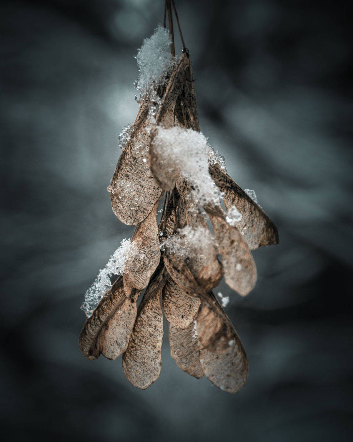 Автор: Максим Салихов , Максим Салихов