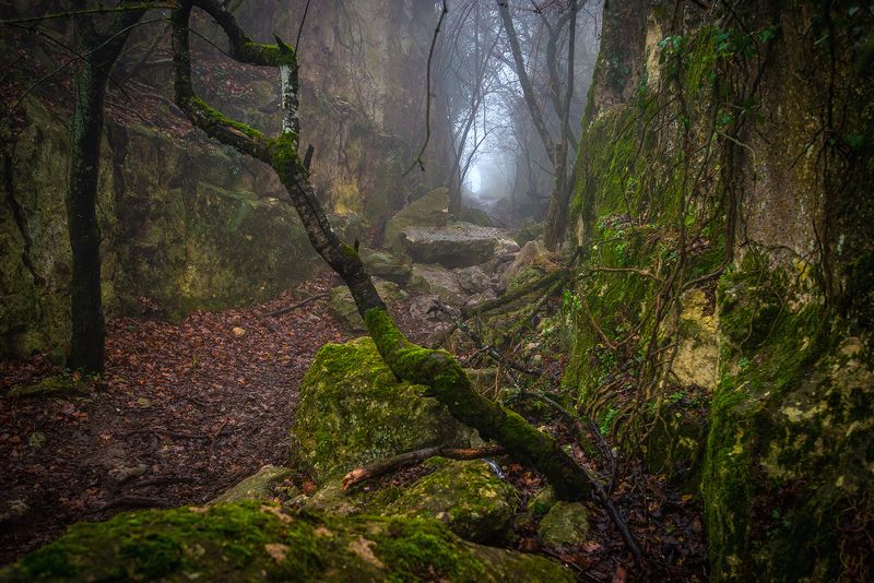 крым ***photo preview