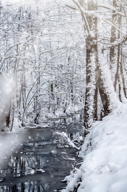 зима, река, пейзаж, снег Зимняя речка в лесуphoto preview