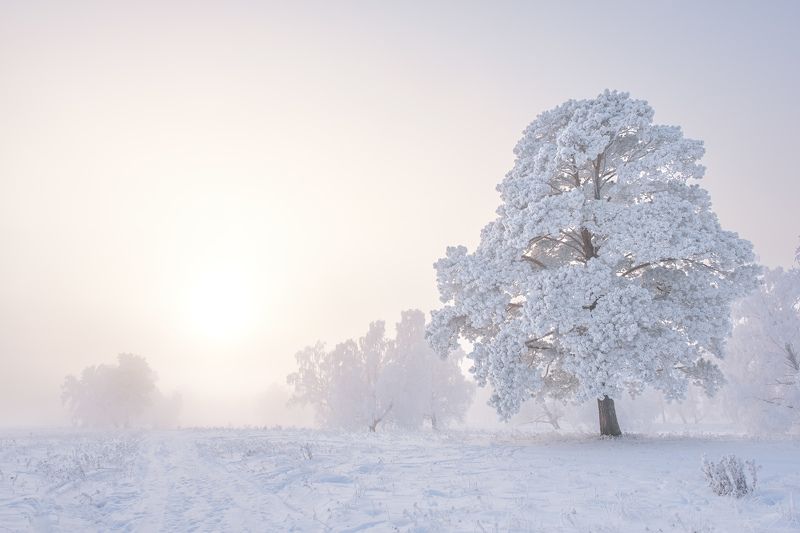 зима, зимний пейзаж, пейзаж ,снег, мороз, winter, fujifilm Полдень...photo preview
