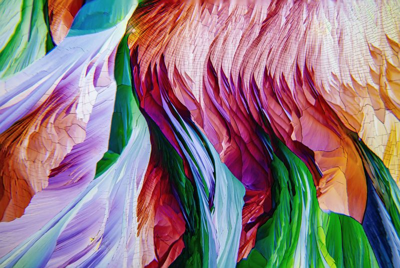 Beeta alaniinphoto preview