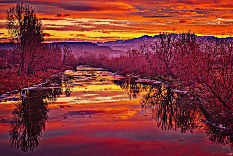 color, colors, color image, crimson, landscape, marmalade, nature, night, orange, photography, red, river, riverscape,  sky, skies, tree, trees, water, yellow, Marmalade Skiesphoto preview