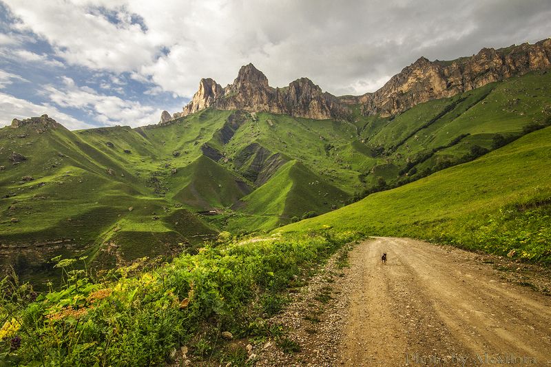 Дорога домойphoto preview