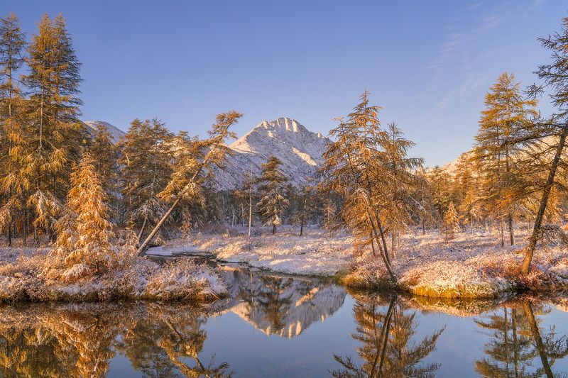 Мороз и солнце - день! фото превью