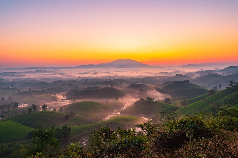 Việt Nam Long Cốc, Phú Thọ, Việt namphoto preview