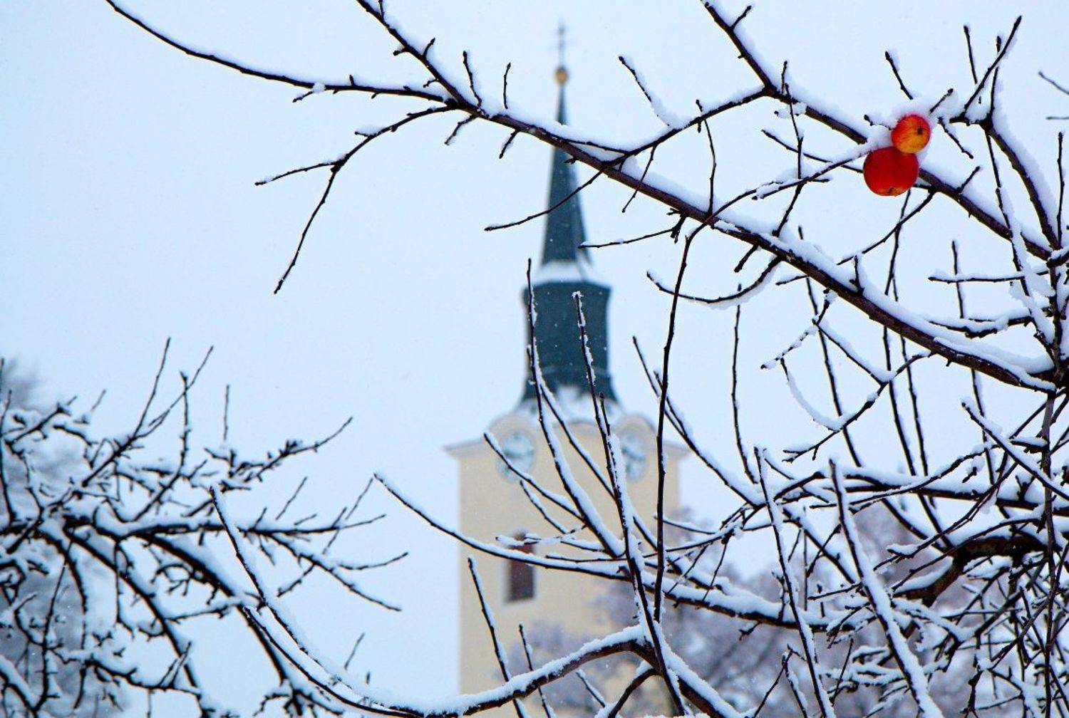 , Franti&scaron;ek Uhler