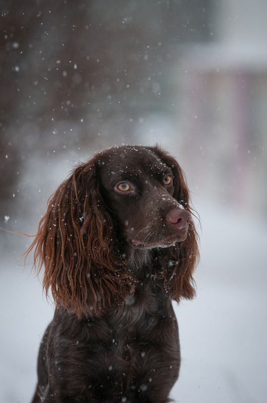 Айтиphoto preview