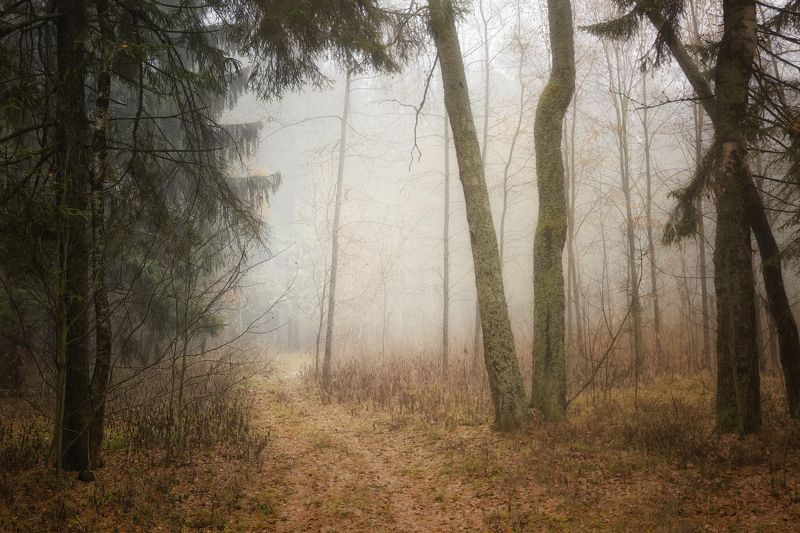 вспоминая осень... фото превью