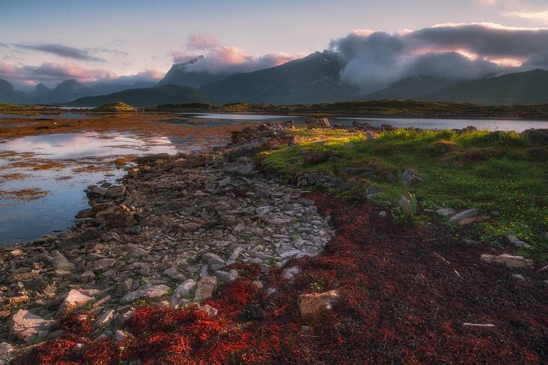 norway summerphoto preview