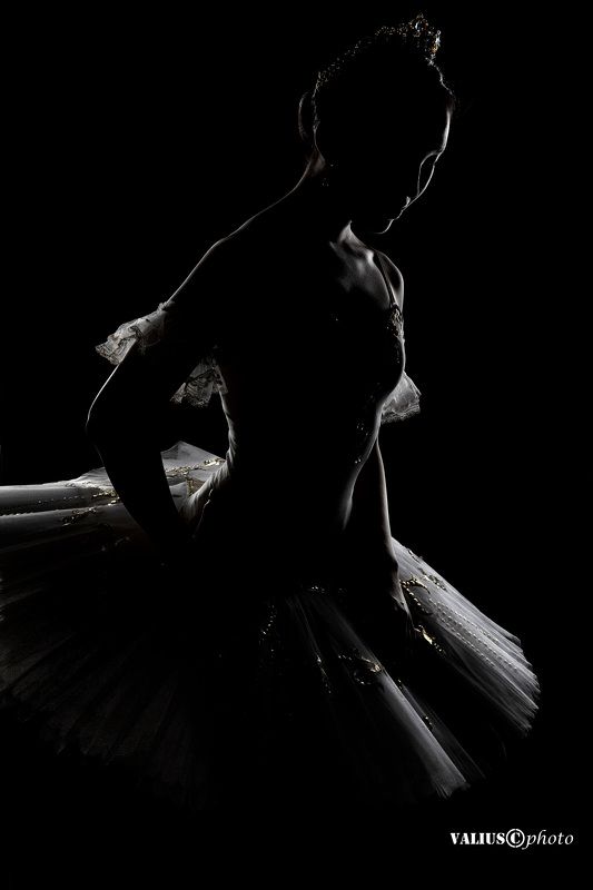 танец, балет, dance, ballet, girl, valius, sport, portrait, портрет, спорт, балерина, balerina, art, choreography, хореография Тонкие линии фото превью