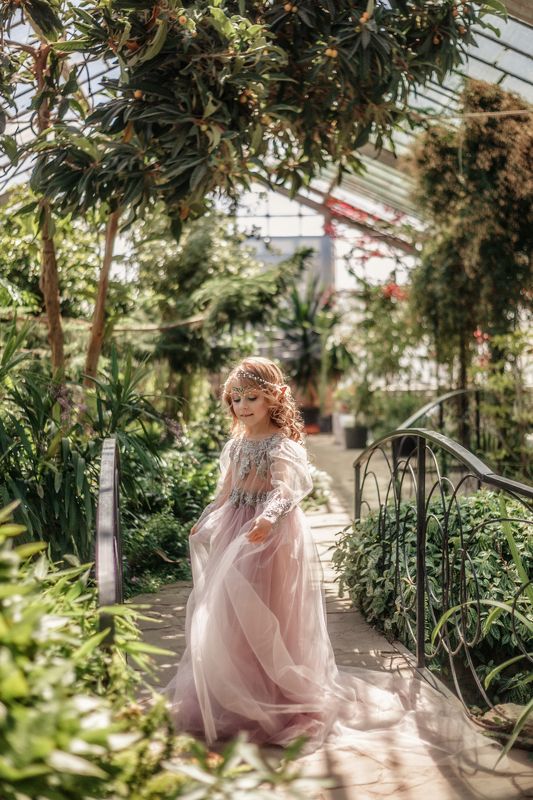 Танец эльфовphoto preview