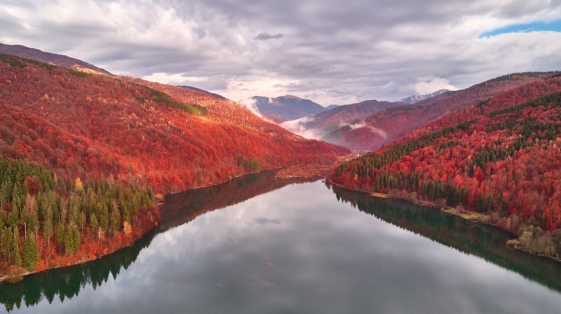 горы, дронофото, карпаты, лес, ноябрь, осень, панорама, река, украина Осень над Тереблейphoto preview