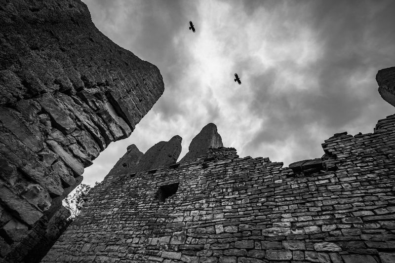 Хранители времениphoto preview