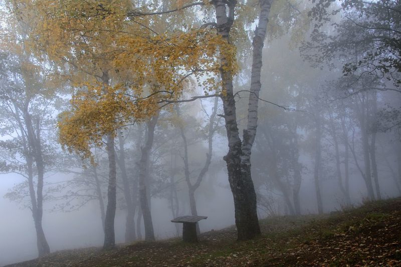 Осенняя ностальгияphoto preview