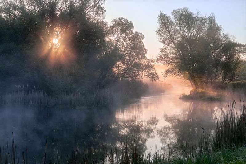 Река Свапаphoto preview