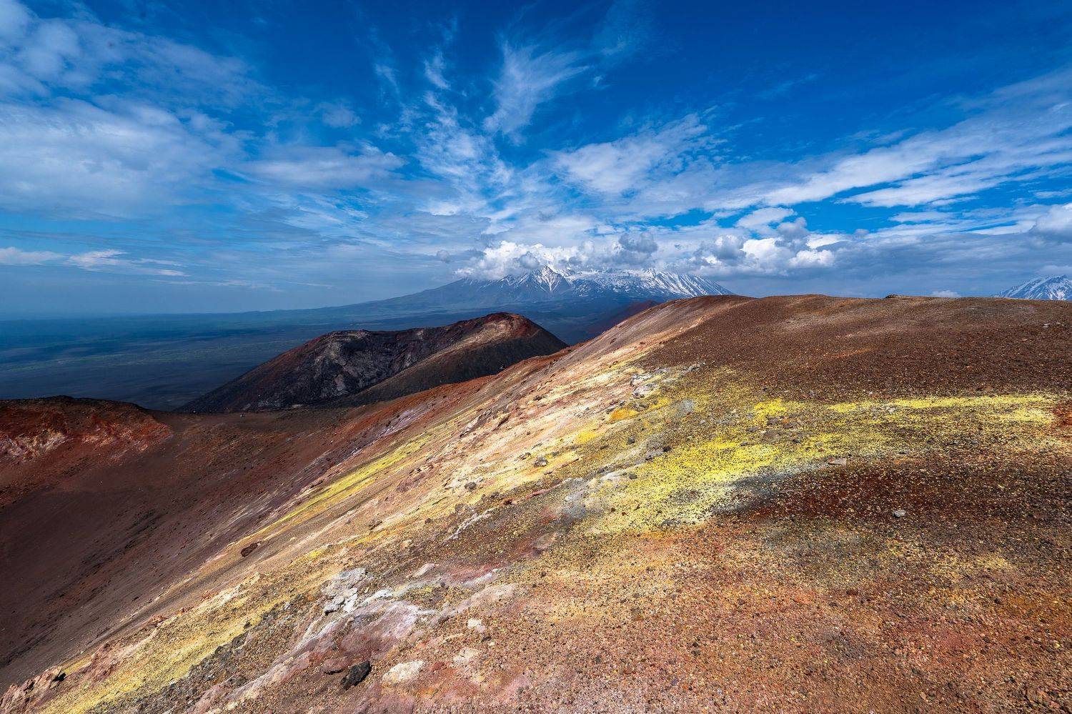 Автор: Баландин Дмитрий , Баландин Дмитрий