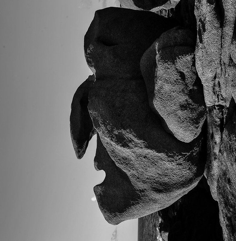 комень, лицо Нечто, удивившее меня фото превью