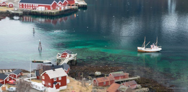 поиграли в Лофотеныphoto preview