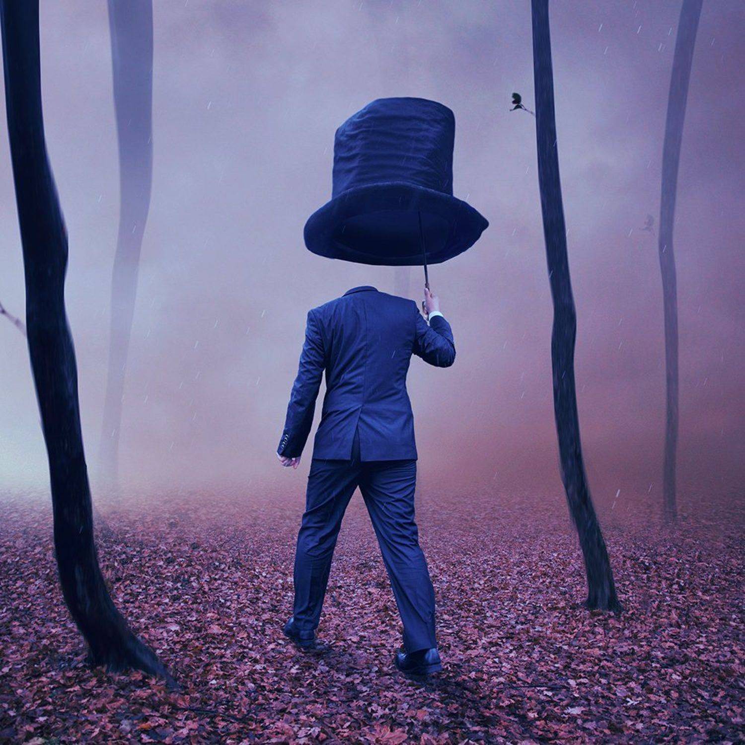 The invisible character. Автор: Caras Ionut autumn, bird, birds, break, cart, clouds, corn, crow, dear, field, fly, fog, forest, fountain, fresh, girls, green, ground, grounds, horse, leaf, light, lightness, man, manipulation, mountain, mounting, mystery, path, photoshop, pipe, psd, reaven, rocks, , Caras Ionut