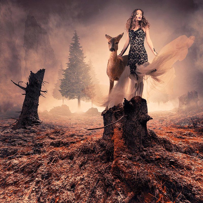 aurochs, camel, clouds, corn, giraffe, girl, ground, head, heat, ioana, lake, light, manipulation, mounting, mounting happy, orange, psd, reflection, sky, spinner, stage, sunset, tutorials, water, wheel The fearless dear фото превью