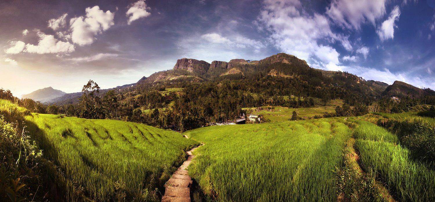 , Ратушнова-Осинцева Арина