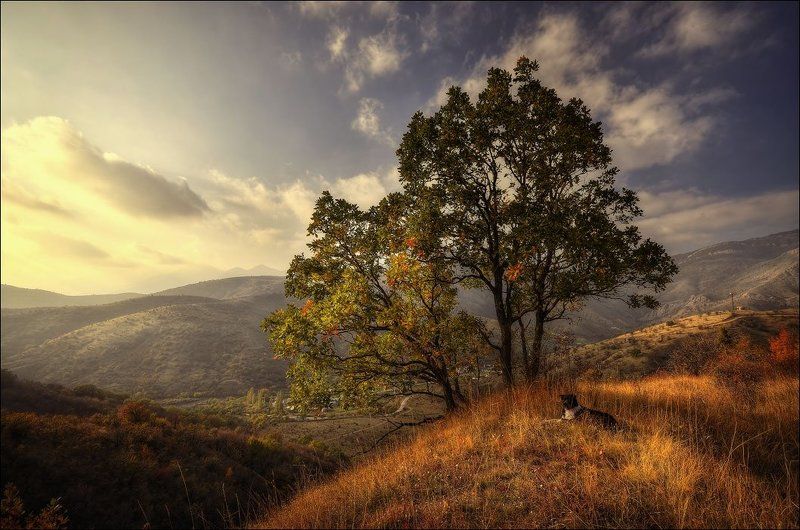 Осенняя идиллияphoto preview