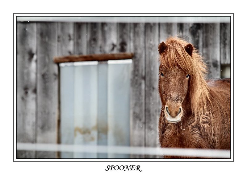 * * * фото превью