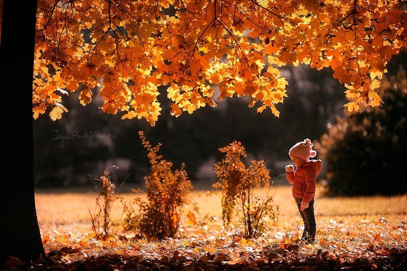 Осеньphoto preview