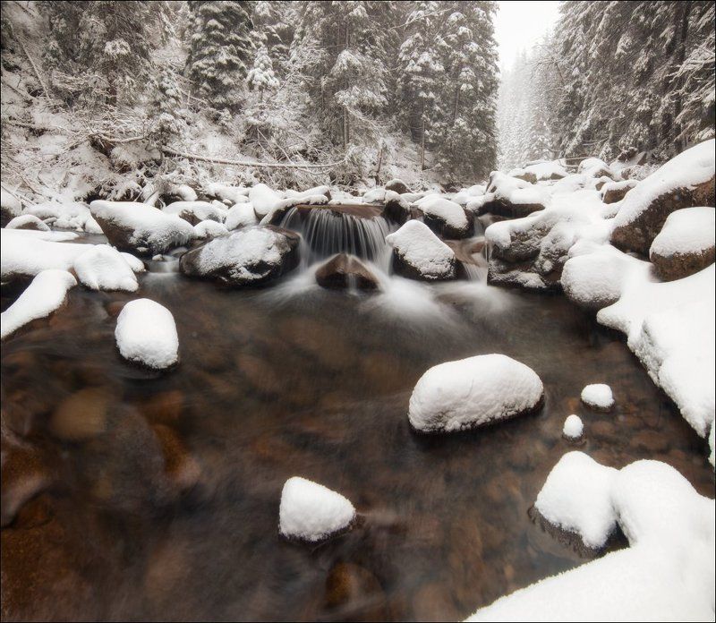 Истоки р.Прутphoto preview