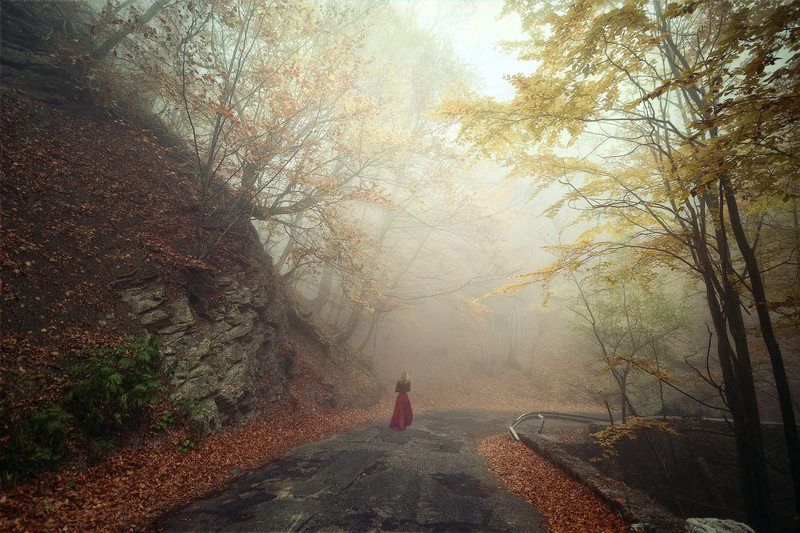 Уходя в осеньphoto preview