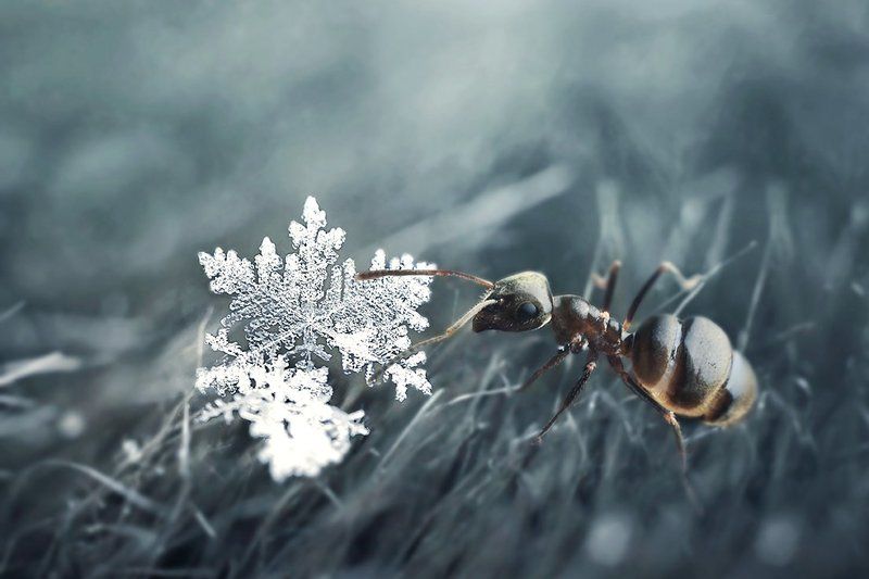 зима и весна встретилисьphoto preview