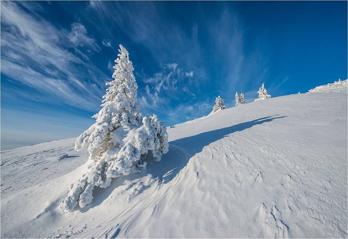 К вершине. Автор: Кутыгин Эдуард южный урал, хребет уреньга. зима. ель., Кутыгин Эдуард