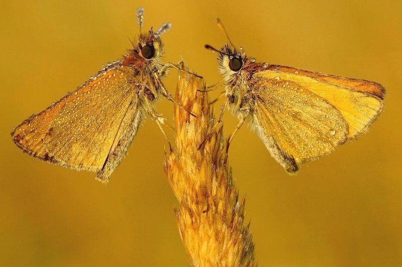 Утром знакомстваphoto preview