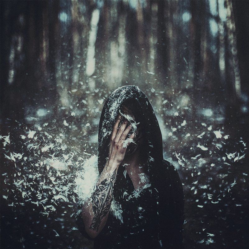 reincrntnphoto preview