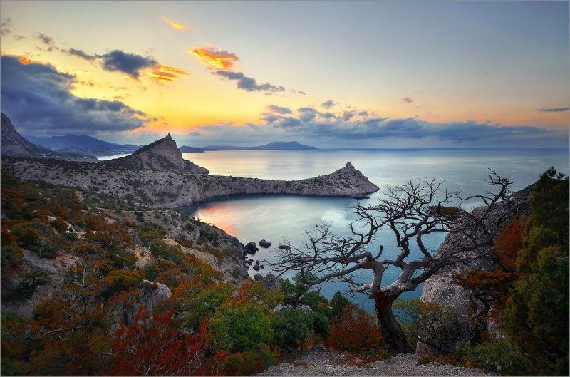 Рассвет Нового Светаphoto preview