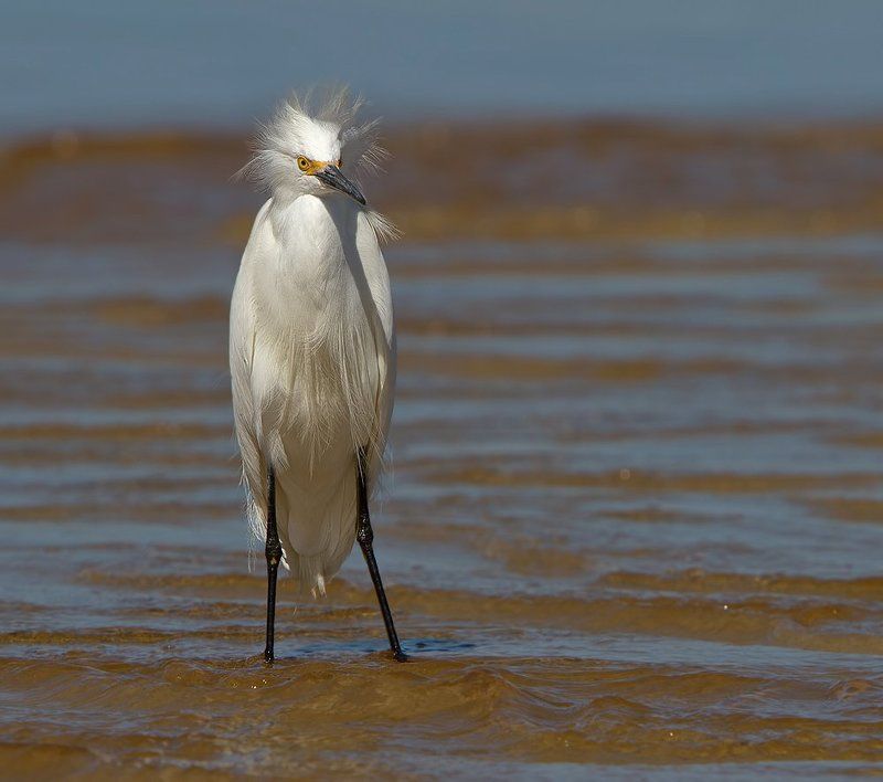 Хмурое утроphoto preview