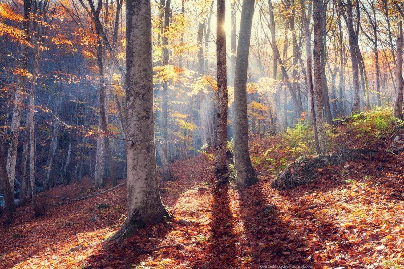 Осень в Большом каньоне Крымаphoto preview