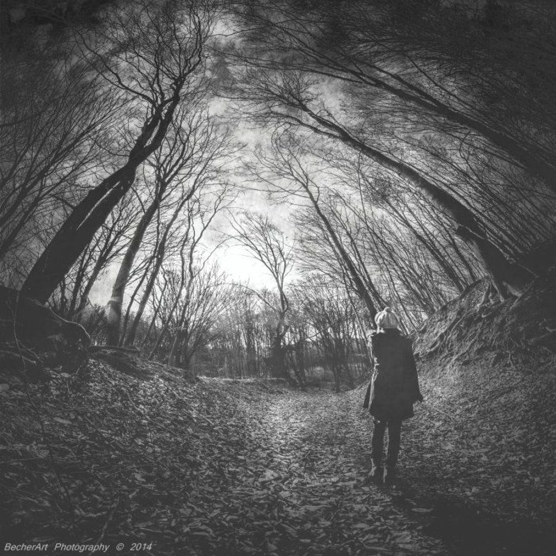 Say Goodbye XIXphoto preview