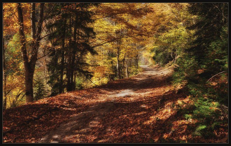 кавказ, кчр, осень Осенняя прогулка...photo preview