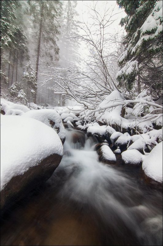 Прутphoto preview