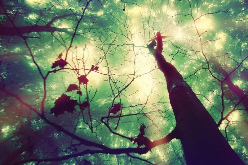 Гуленаphoto preview