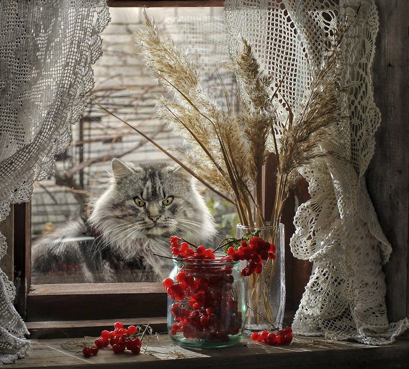 Я требую продолжения банкета!photo preview