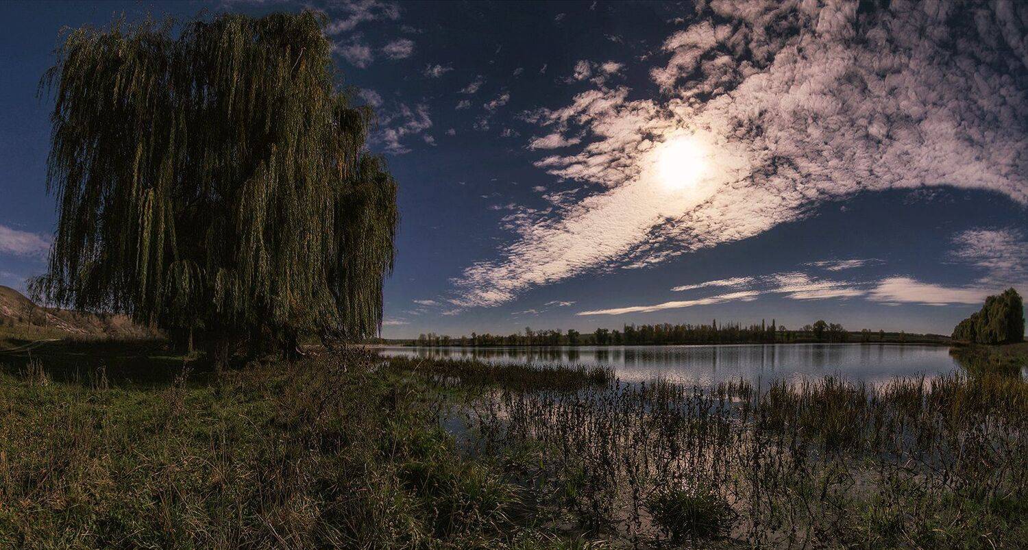 , Игорь Мелекесцев