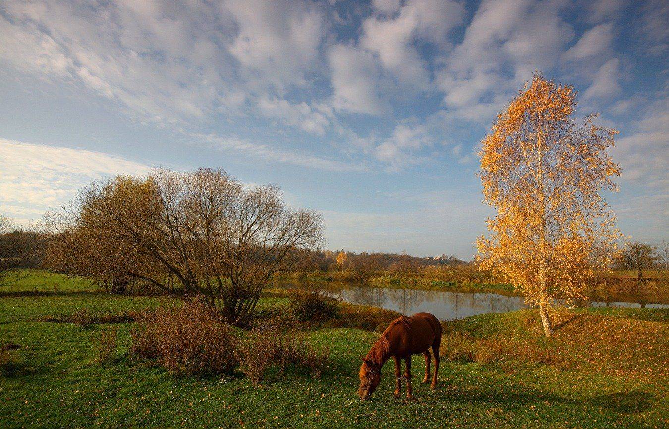 , Володимир Карчевський