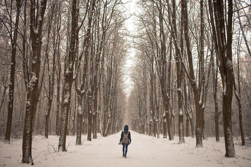 fall winterphoto preview