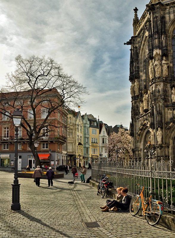 Магнолии зацвелиphoto preview