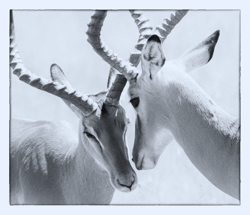 диалоги...photo preview