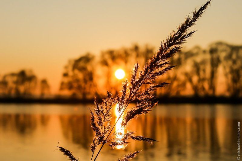 Закатphoto preview