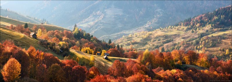 / Про золотую осень /photo preview