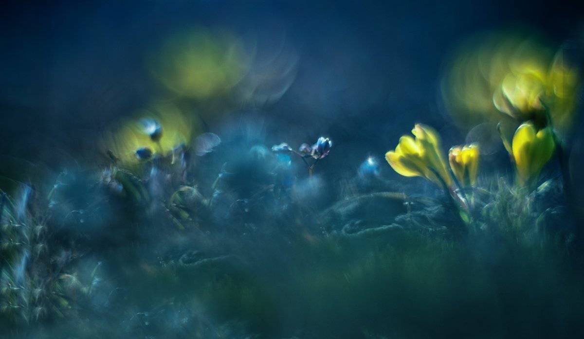 , Татьяна Аверина